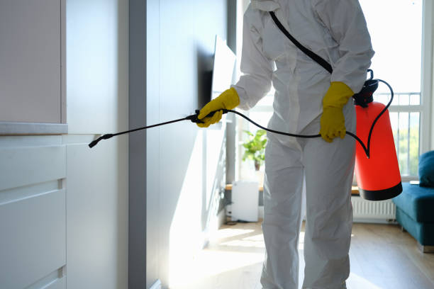 Best Home Mold Removal  in Hays, NC